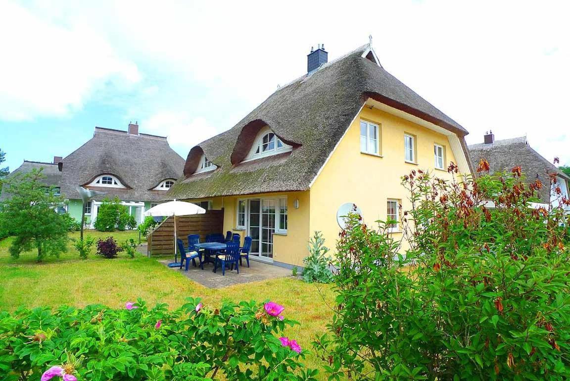 Ferienhaus An Der Alten Waldschaenke Ws-11A Born Buitenkant foto